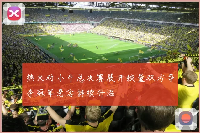 热火对小牛总决赛展开较量双方争夺冠军悬念持续升温